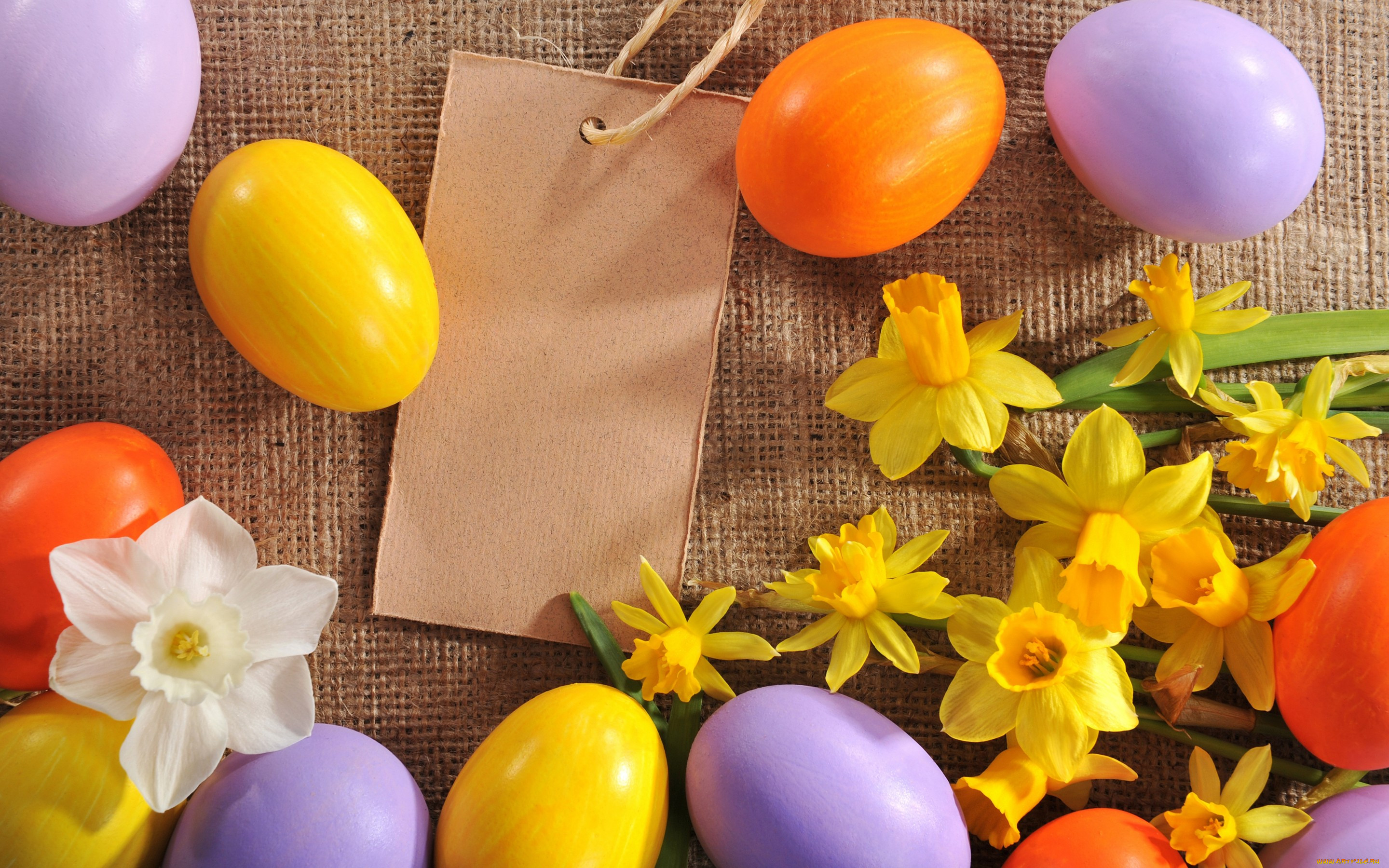 , , , , , spring, flowers, eggs, easter